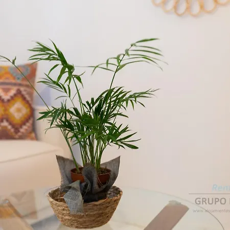 Loma Del Colegial * Torremolinos